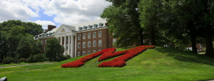 University of Maryland Quantum Alliance