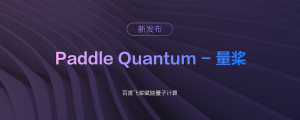 Quantum Paddle